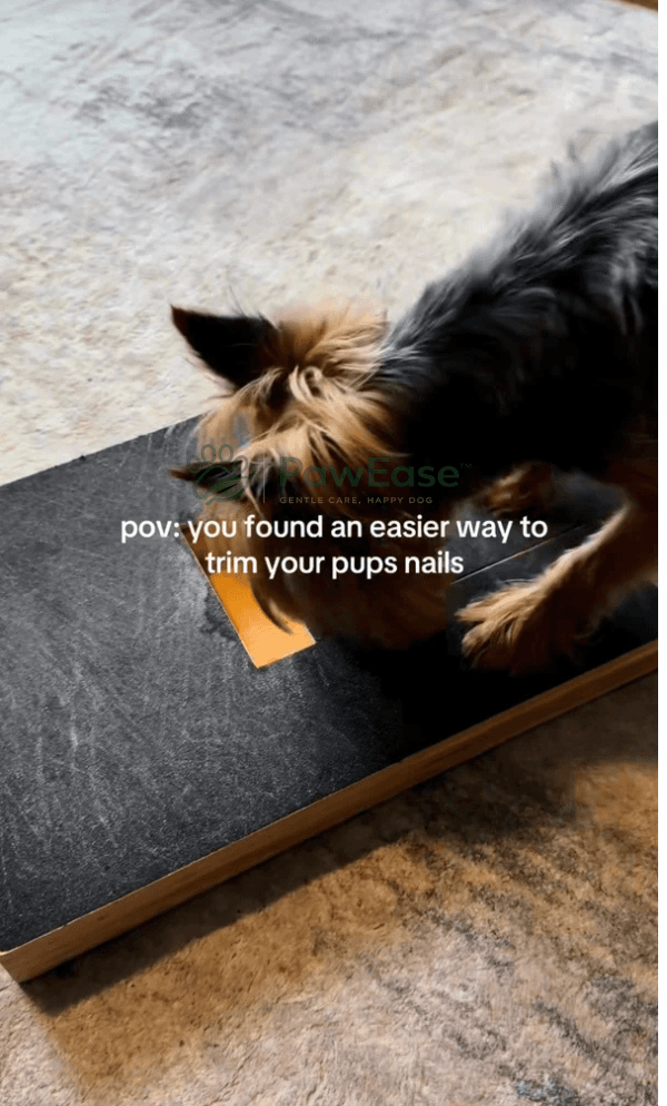 Dog using NailEase scratch board at home
