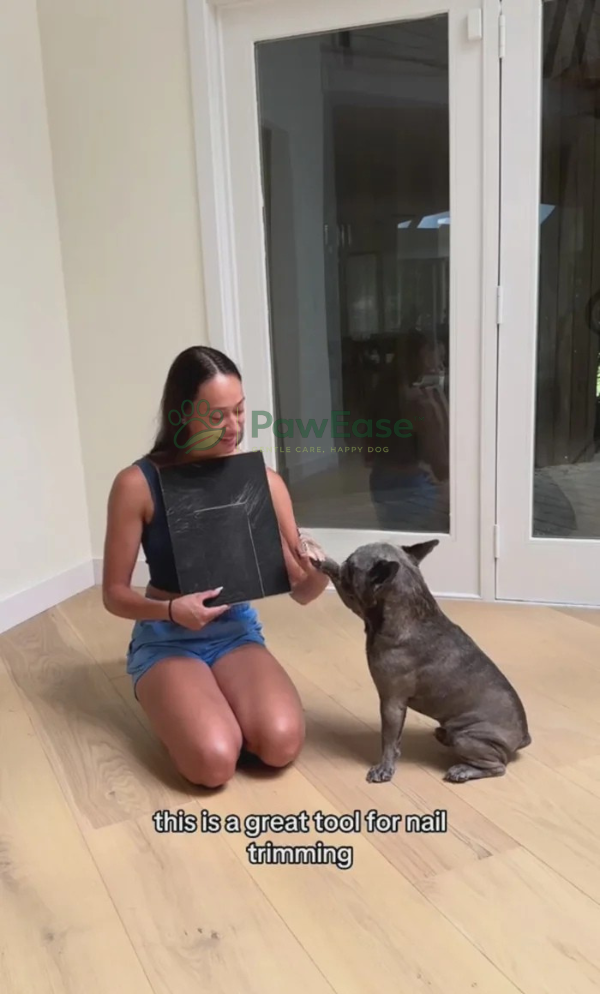 Owner demonstrating NailEase board with dog